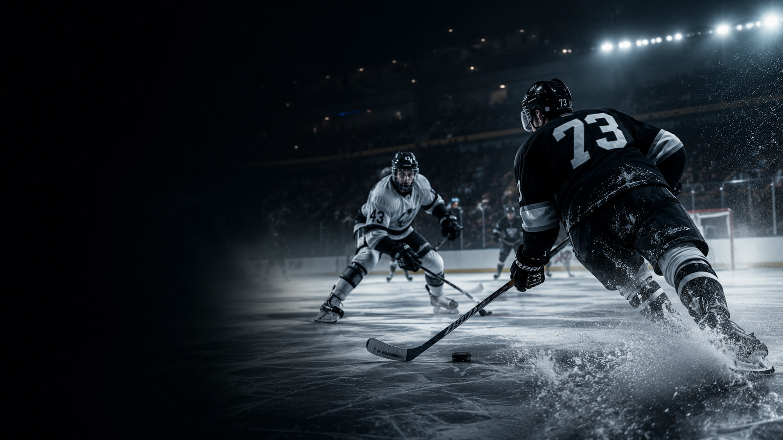 Liga Mexicana Élite de Hockey